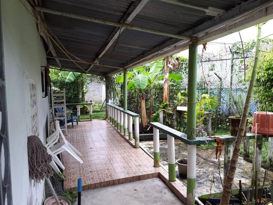 Gia'S Garage & Home For Bocas Travelers Almirante Екстер'єр фото